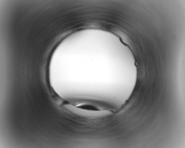 X0000088131139200706041314