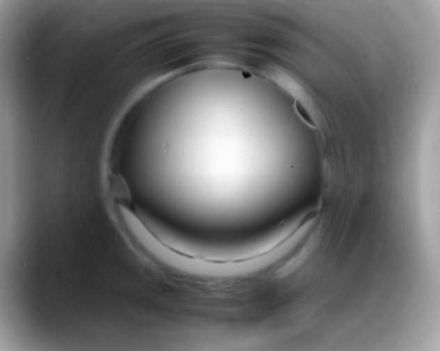 X0000088131141200706041314