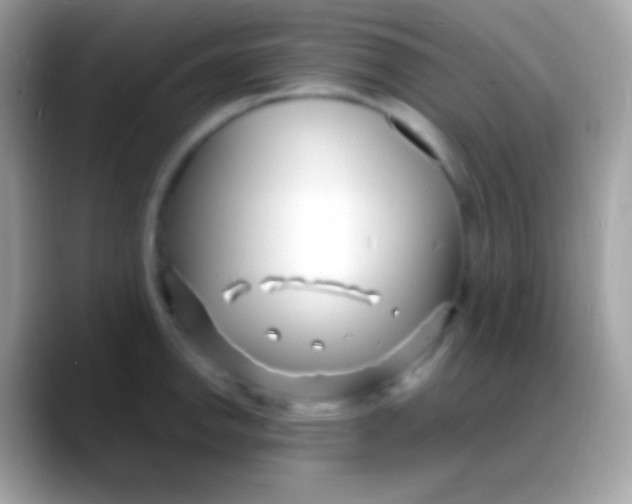 X0000088131142200706041314