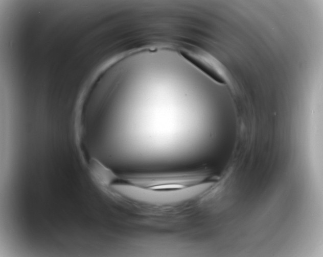 X0000088131143200706041314