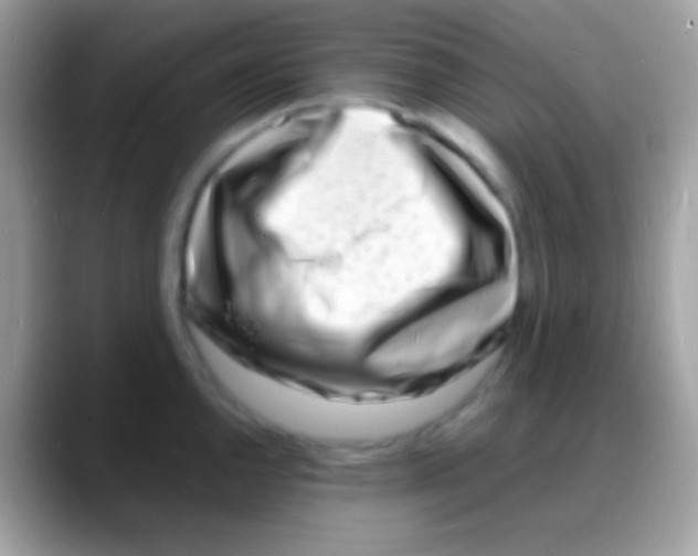 X0000088131144200706041314