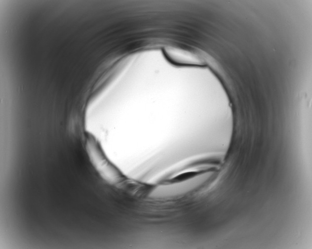 X0000088131145200706041314