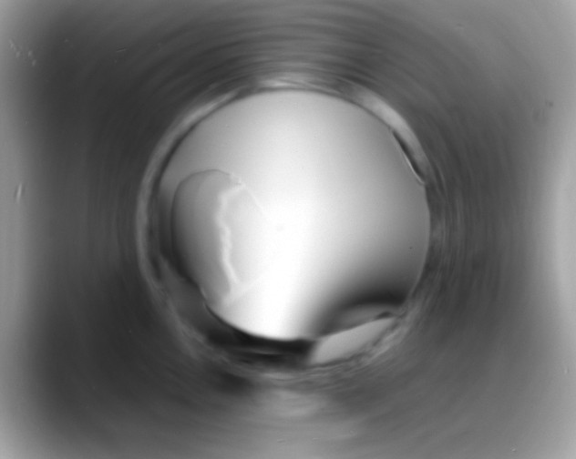 X0000088131146200706041314