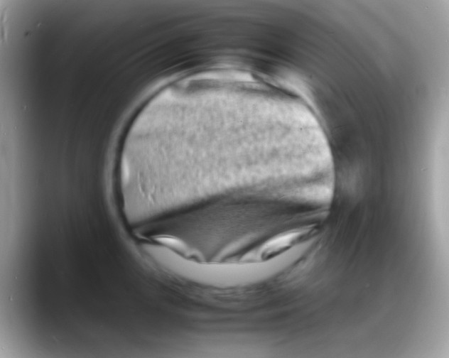 X0000088131147200706041314