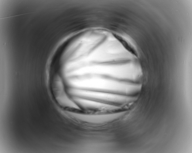 X0000088131151200706041314