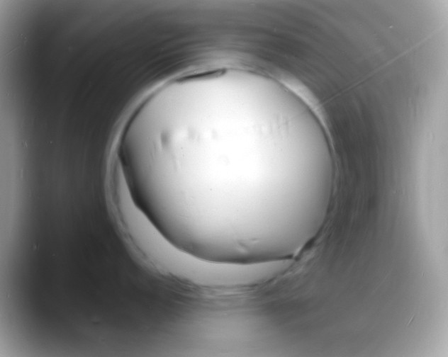 X0000088131152200706041314