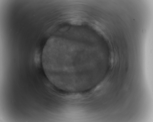 X0000088131154200706041314