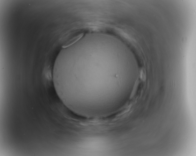 X0000088131155200706041314