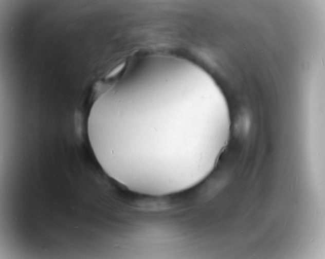 X0000088131156200706041314