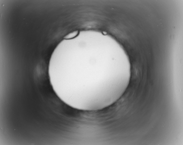 X0000088131158200706041314