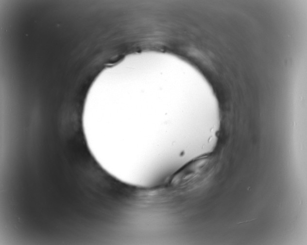 X0000088131159200706041314