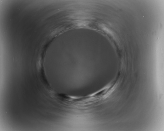 X0000088131161200706041314