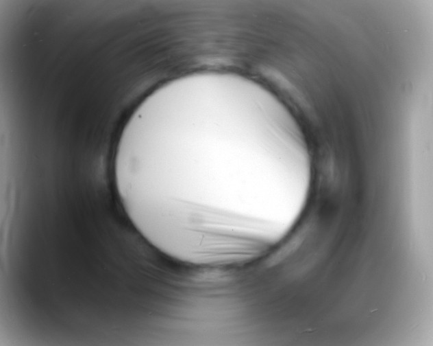 X0000088131162200706041314