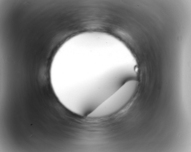 X0000088131164200706041314