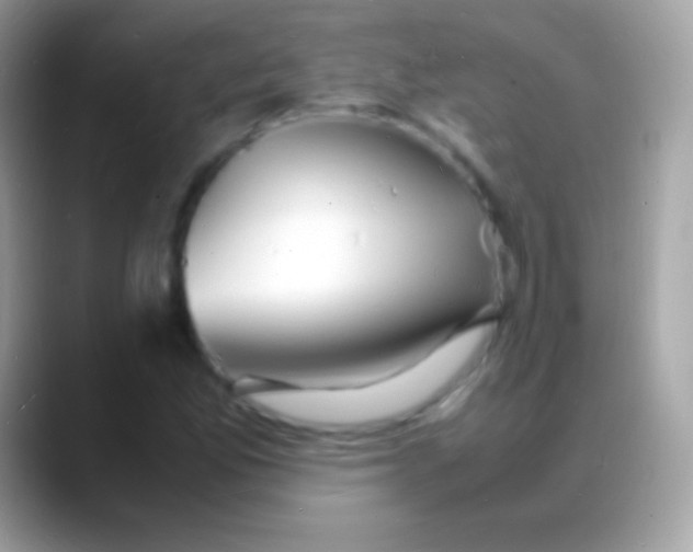 X0000088131165200706041314