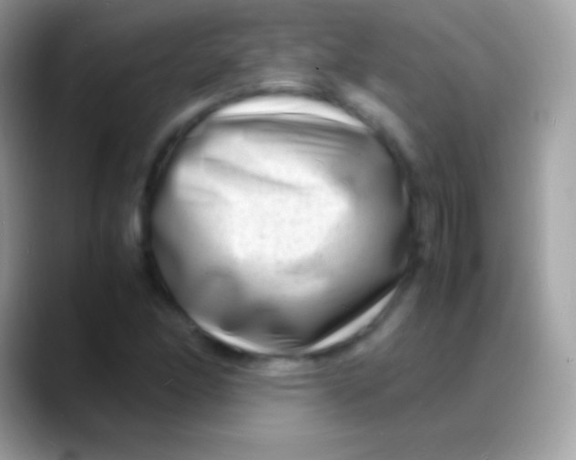 X0000088131166200706041313