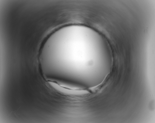 X0000088131168200706041313