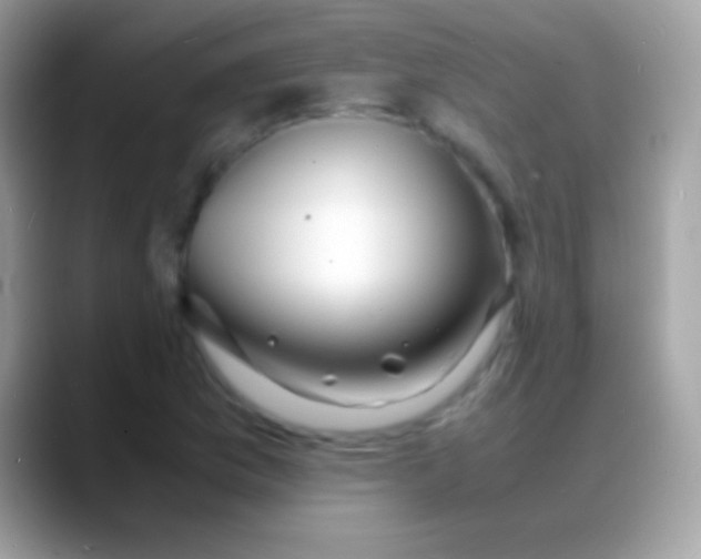 X0000088131169200706041313