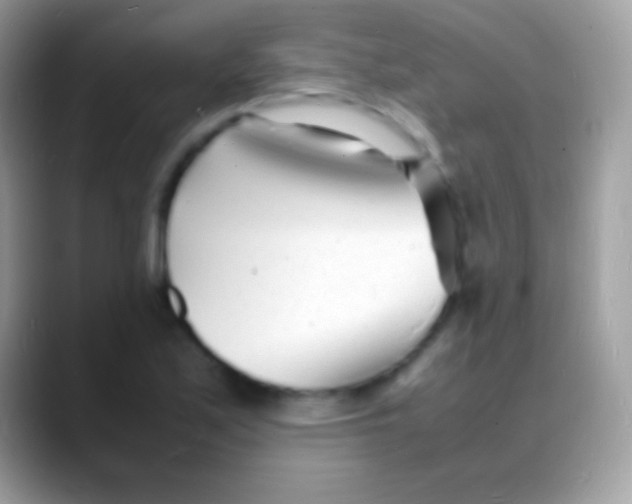 X0000088131171200706041313