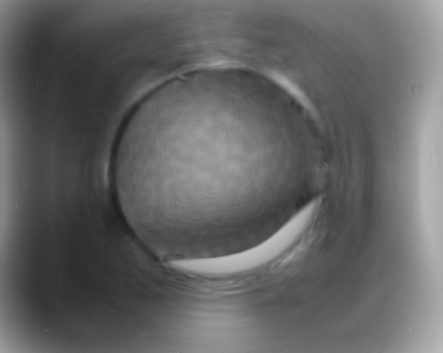 X0000088131173200706041313