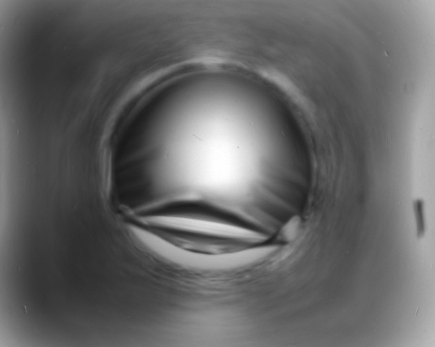 X0000088131175200706041313