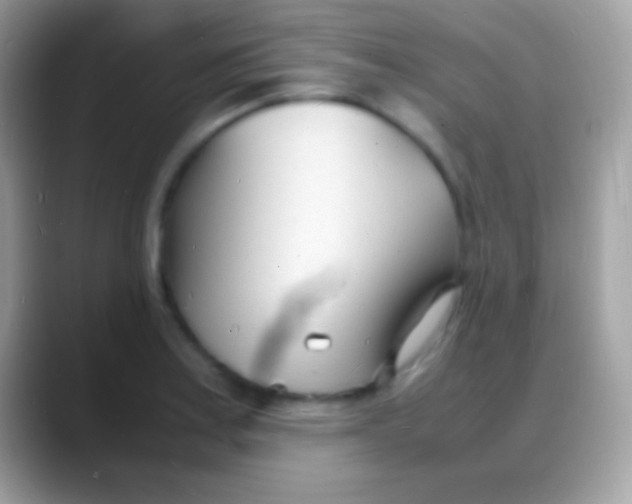 X0000088131179200706041313