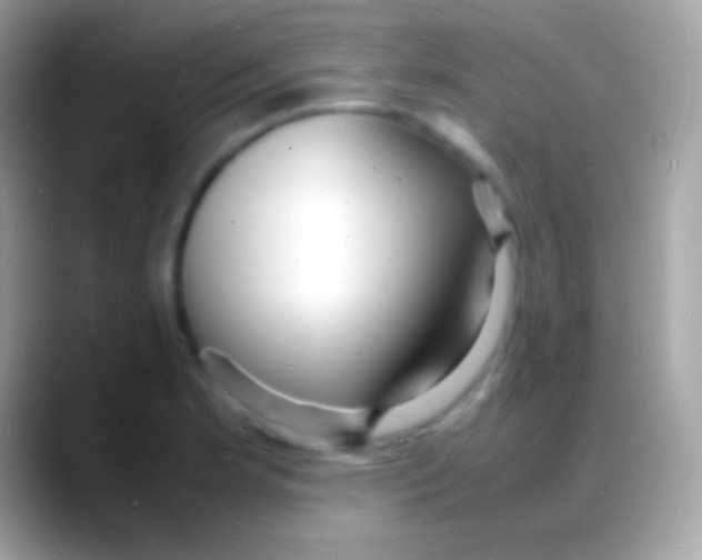 X0000088131181200706041313