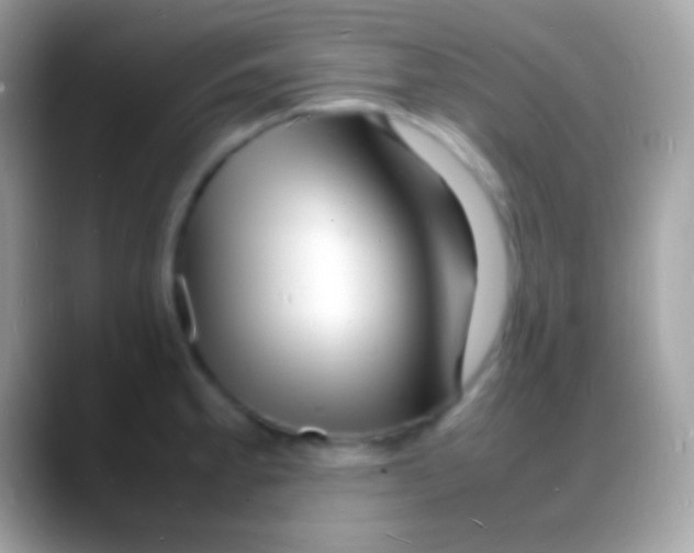 X0000088131189200706041313