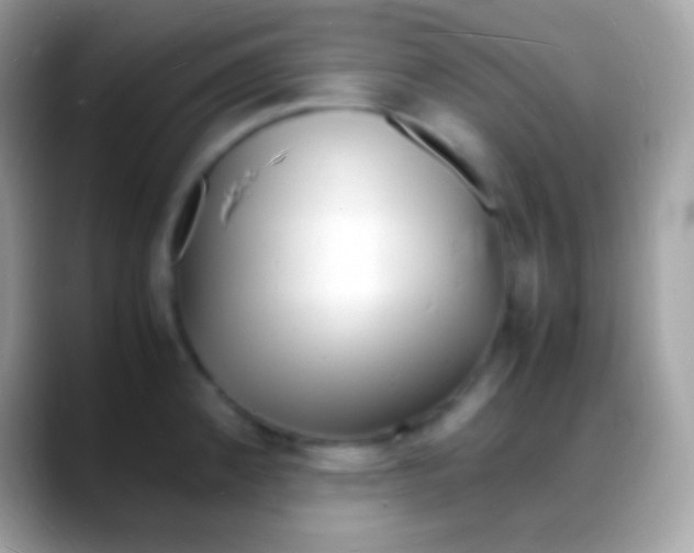 X0000088131192200706041313