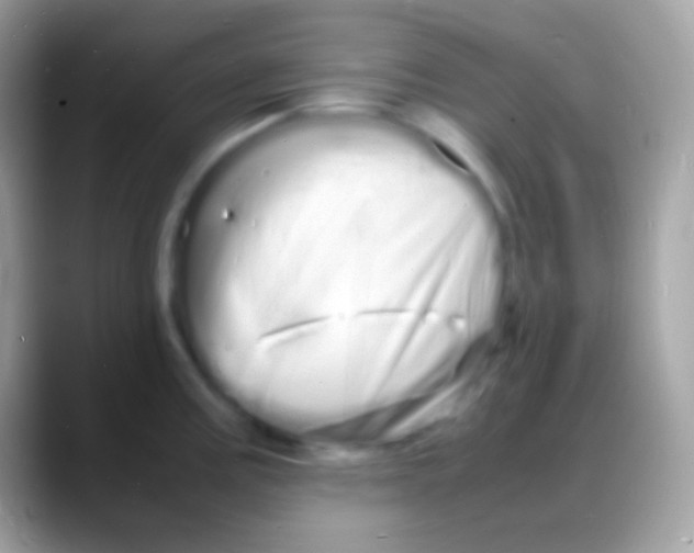 X0000088131195200706041313