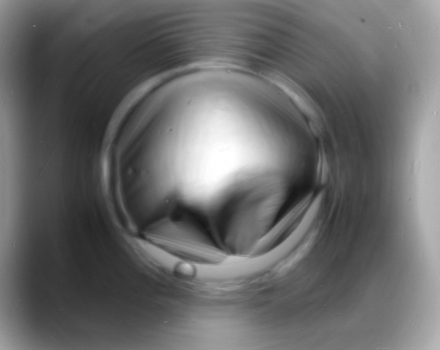 X0000088131196200706041313