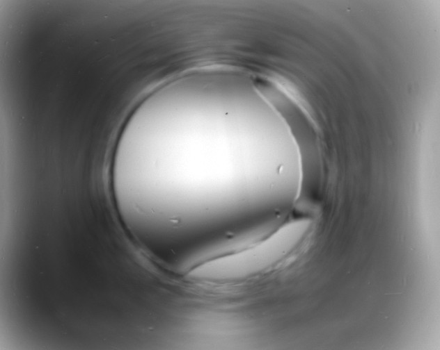 X0000088131197200706041313