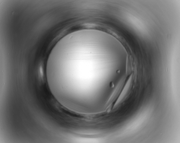 X0000088131198200706041313