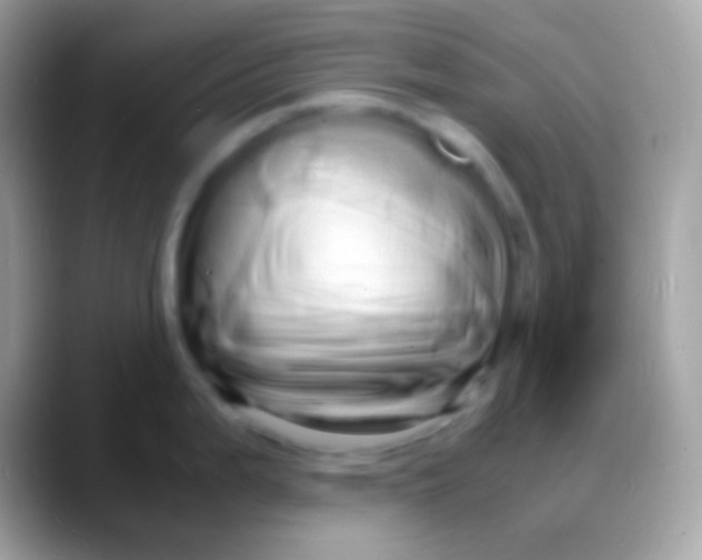 X0000088131199200706041313