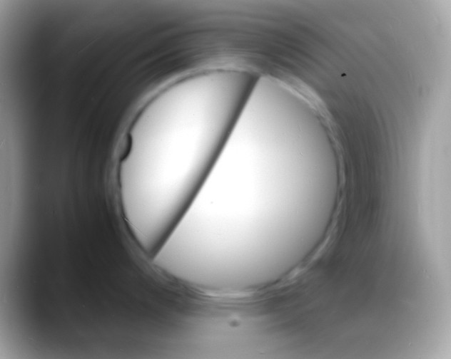 X0000088131200200706041313