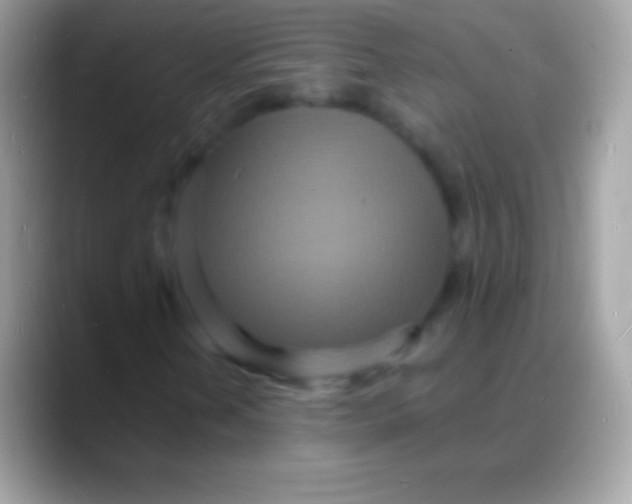 X0000088131202200706041313