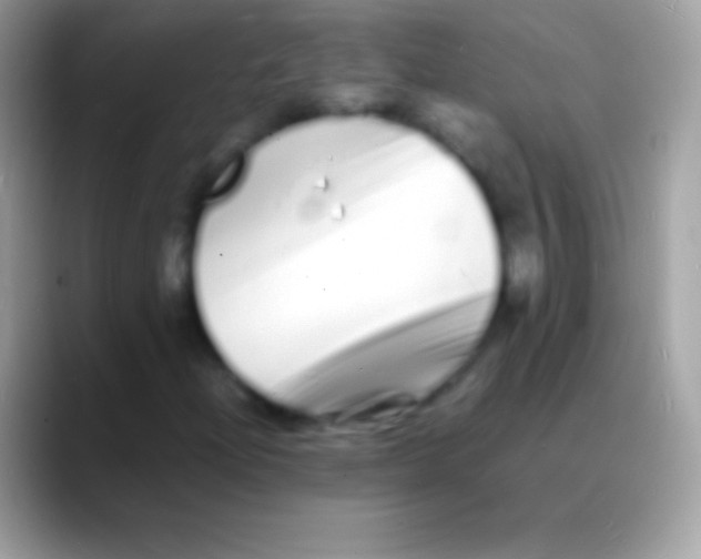 X0000088131204200706041313