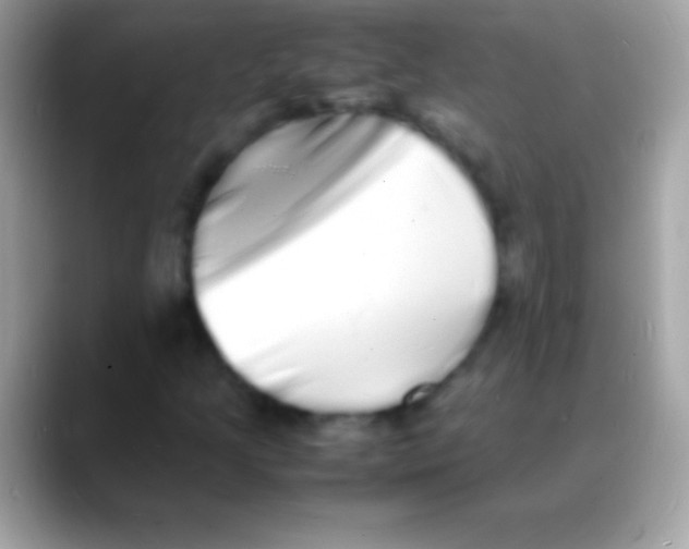 X0000088131205200706041313