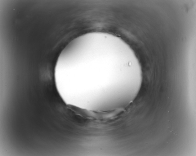 X0000088131206200706041313