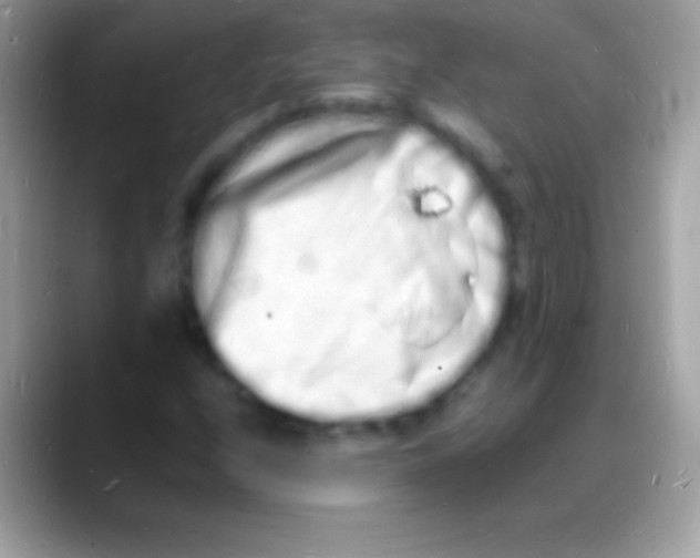 X0000088131208200706041313