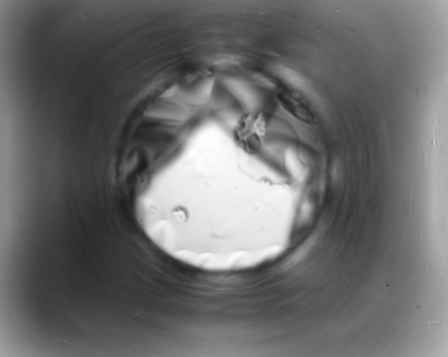 X0000088131209200706041313