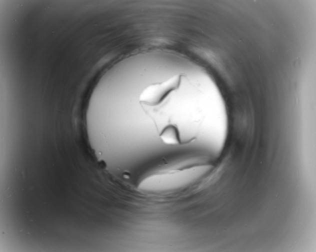 X0000088131210200706041313