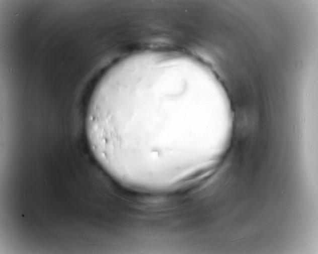 X0000088131211200706041313