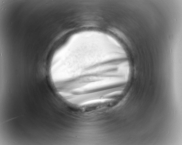 X0000088131212200706041313