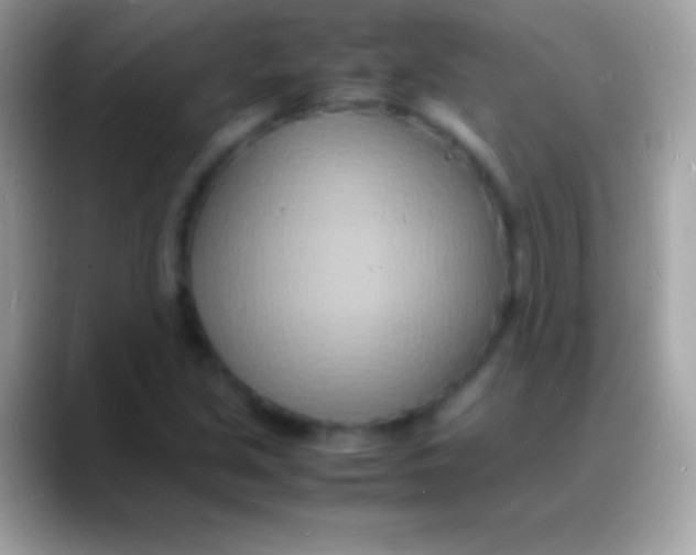 X0000088131213200706041313