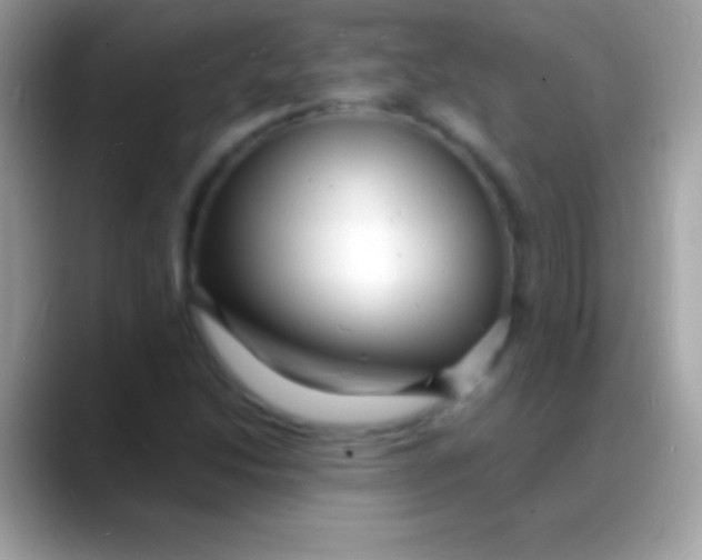 X0000088131214200706041313