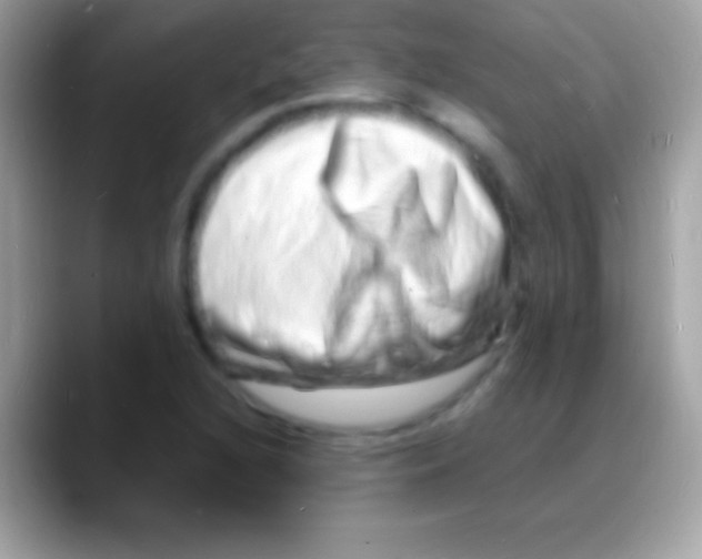 X0000088131216200706041313