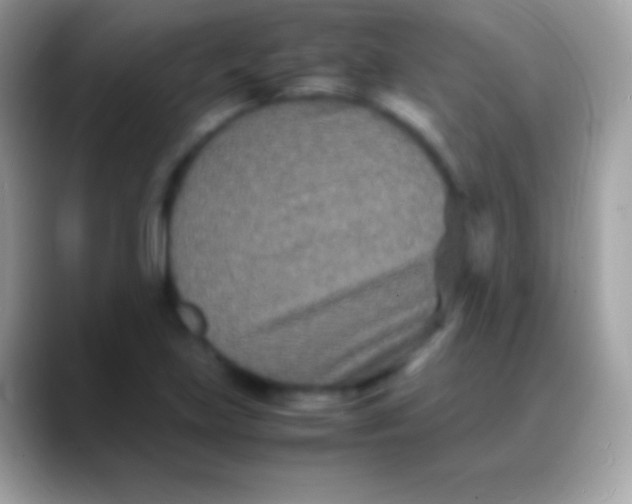 X0000088131219200706041313