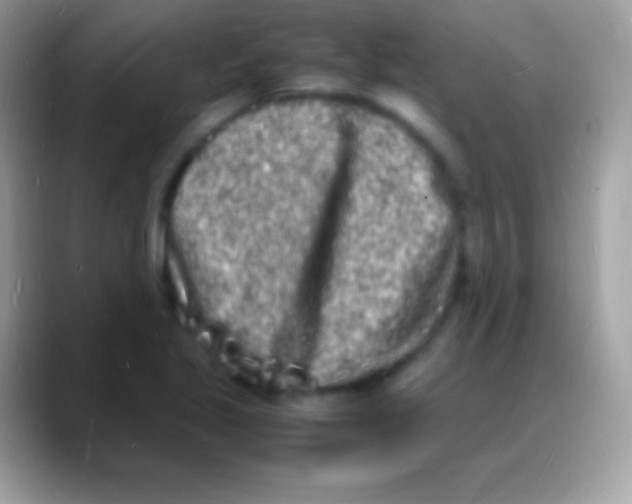 X0000088131221200706041313