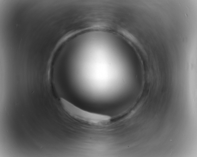 X0000088131222200706041313